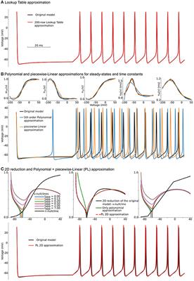 Polynomial, piecewise-Linear, Step (PLS): A Simple, Scalable, and Efficient Framework for Modeling Neurons